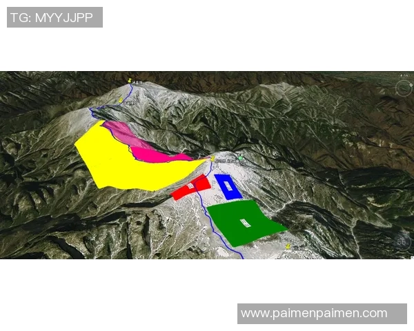 深入分析上海排球队包夹战术的优势与应用策略